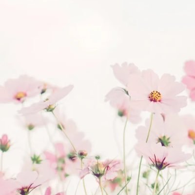 lesvnguyen's profile picture. 