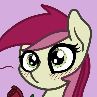 EwoudCPonies Profile Picture