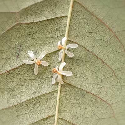 Mriduvizhisen's profile picture. 