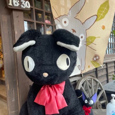 wfT4ZEcYIa63901's profile picture. 大学院 就活アカ