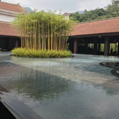 nguynxuntip4's profile picture. 