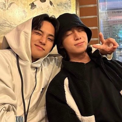 mainly for seventeen ( 🦊🐶🍒) bts (🐹🐰) and skz | stan, reading, bns acc | alt- @jk4mi