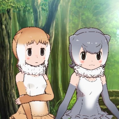 トラネコカワウソさんのプロフィール画像