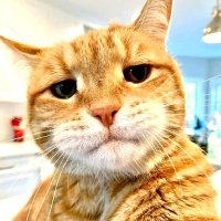 Emily (@udtipcrjxbr7xvm) 's Twitter Profile