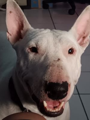 assassincreed06's profile picture. 