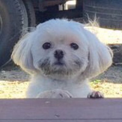 hellocloud_3519's profile picture. 