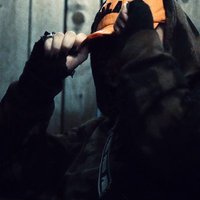 bubópestis (@bubopestis_) 's Twitter Profile