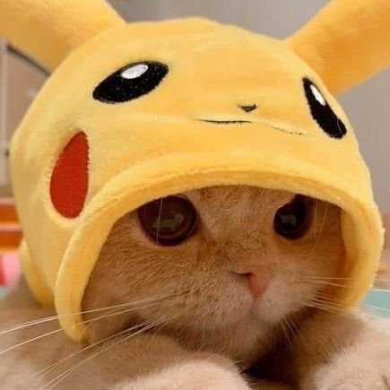 AxelLop68258141's profile picture.