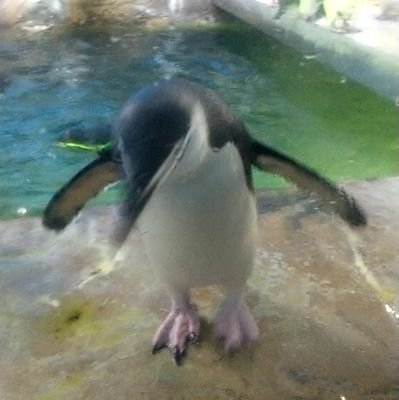 kurage_37822's profile picture. MAU デザイン情報学科(di) 3年 くらげと読みます。
趣味→ゲーム(スプラやゼルダの伝説が好き)、YouTube見る、釣り、寝るなど

保存用
#ムサビおすすめ授業