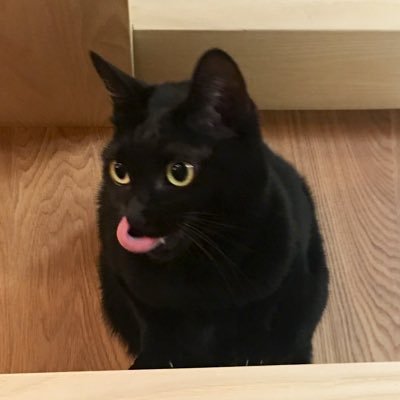 qqunbb's profile picture. 