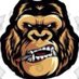 #AMCGORILLAZ🦍🦍 (@amcgorillaz) Twitter profile photo #AMCGORILLAZ🦍🦍 (@amcgorillaz) Twitter profile photo