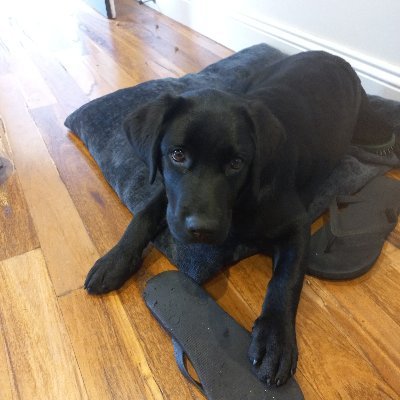 jameslay79's profile picture. Nothing  much to say