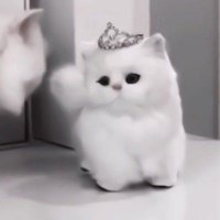 ૮ o̴̶̷᷄ ·̫ o̴̶̷̥᷅ ა (@_baby_166) 's Twitter Profile