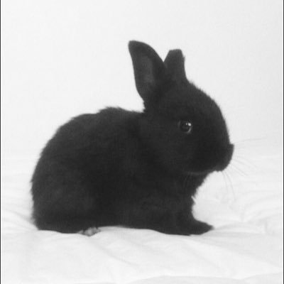 Ois527370174510's profile picture. 