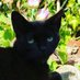 SETI I (@rameneses1) Twitter profile photo SETI I (@rameneses1) Twitter profile photo