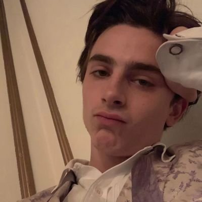 i'm alive to love timothée chalamet