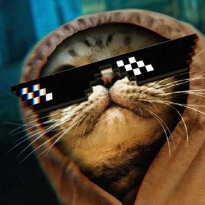 ケンクンさんのプロフィール画像
