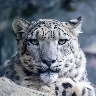 euroxiwinner's profile picture. We offer free short crypto pumps twice weekly. More than 1M in our telegram channel participate weekly in our pumps