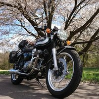 漣(W800の人)→運転リハビリ中!!! (@wavelets72) 's Twitter Profile