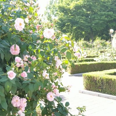 rainy_111222's profile picture. 