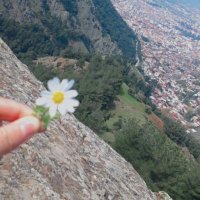 haticee4646 (@haticee464717) 's Twitter Profile Photo haticee4646 (@haticee464717) 's Twitter Profile Photo