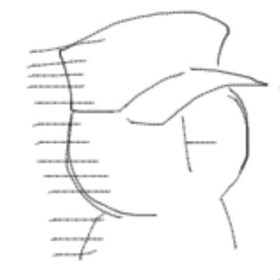 ときさんのプロフィール画像