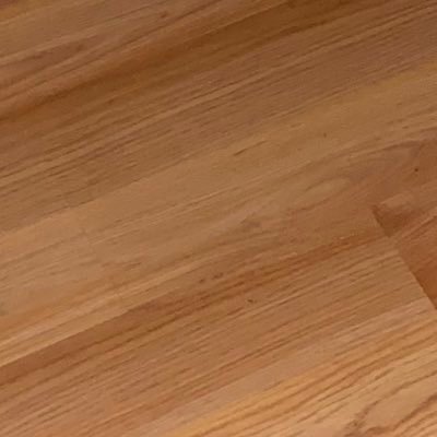 Antonio17550050's profile picture. 🍆