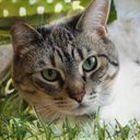 Denise Singleton - @DeniseSing67814 - Twitter