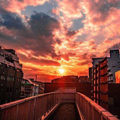 shukatu25's profile picture. 就活アカウント