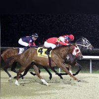 Santiago González (@jockeysg) 's Twitter Profile