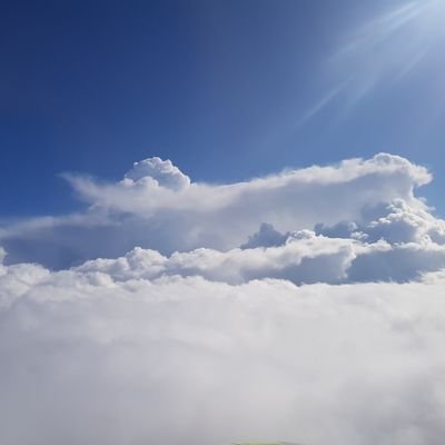一応本垢とは切り離しといた雑な裏垢です。ボカロ廃ですがここではあんま喋らないかも。めんどいので鍵はかけません。
이것저것 구독해놓고 좋아요 박으려고 쓰는 구독계