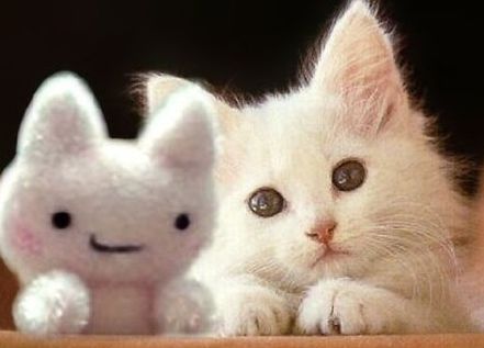 Qn28's profile picture. 99% 의 사람들이 행복해지는 세상을 위하여.