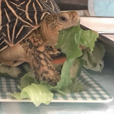 玄米さんのプロフィール画像