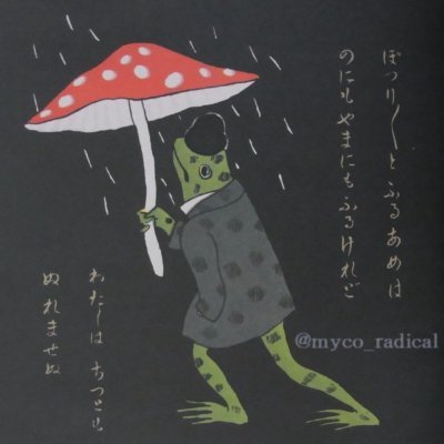 よろずきのこ愛好家。
(茸探しの散策から日本の古い茸物収集まで)
余暇は野山でキノコ達と戯れています。
キノコ観察のガイド等もご依頼によりさせて頂いております。
※写真の無断使用厳禁。