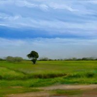 @ਸੁਖਦੀਪ ਸਿੰਘ ਮੀਕੇ (@sukhdeepsmeekay) 's Twitter Profile