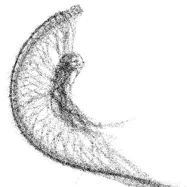 pseudoSeneca's profile picture. 