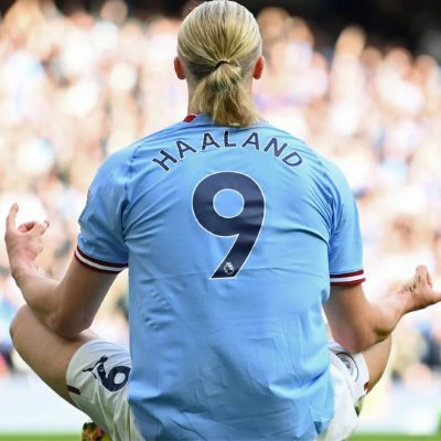 FantasyPL_98's profile picture. All about Fantasy ⚽️🦁