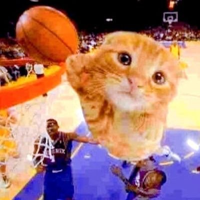 _itsmadut's profile picture. besteiras, surtos e mais(favor não levar nada a sério)