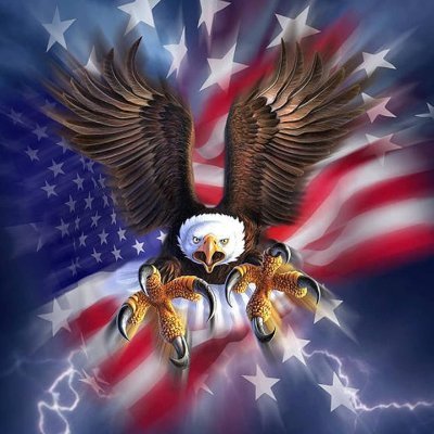 A Patriotic freedom loving American! No DM's! Buck Fiden!! For the sake of God and country!! #DeSantis2024!!😎🇺🇸🇺🇸🦅🦅👊👊 #IFBAP