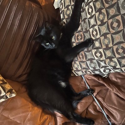 Monique57024422's profile picture. 