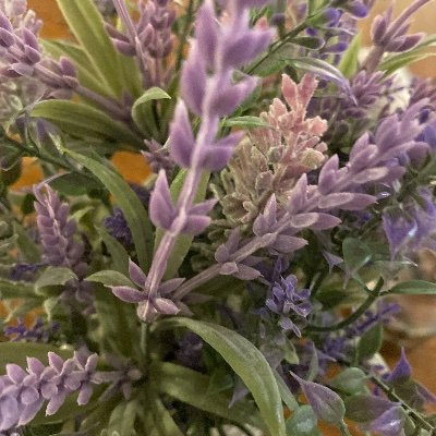 e_sharp_major's profile picture. 