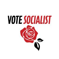 Vote Socialist(@socialist_vote) 's Twitter Profile Photo