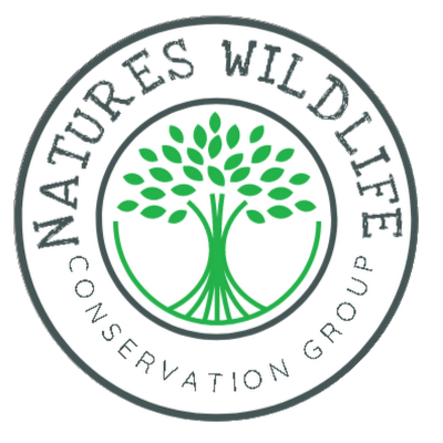 We are a wildlife conservation team in north yorkshire. we cover bedale, leemingbar, northallerton and more.