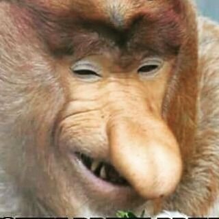 last_of_pl's profile picture. 