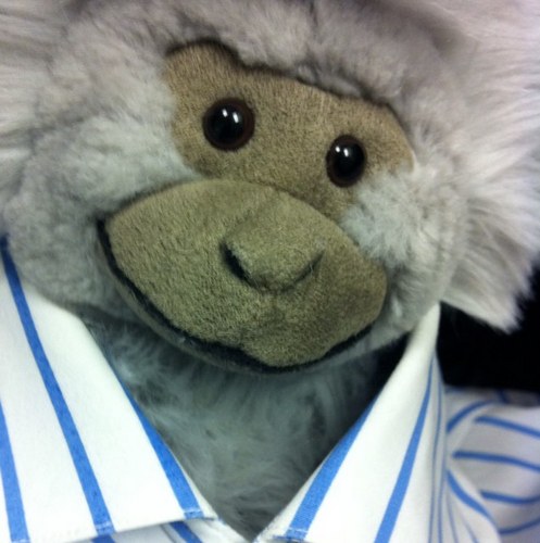 bdleathem's profile picture. 