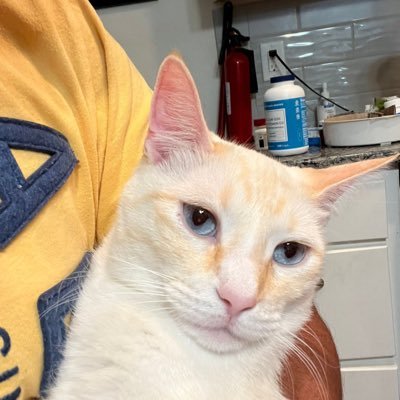 GenaroMarcatoma's profile picture. 