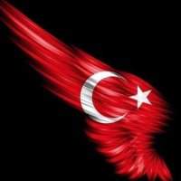 Mert Savcı 🇹🇷💡🤘👍🇹🇷(@savci172) 's Twitter Profile Photo