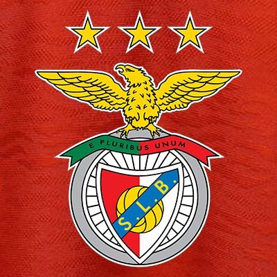 Sócio e eternamente apaixonado pelo Benfica. ❤⚽️🦅