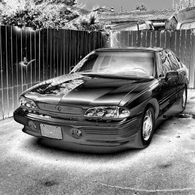 BleedsBlueNGold's profile picture. Former Independent #TV #Radio Broadcaster #Music #DJ #RecordingArts #Bombers #CFL #QB #Canada #Sports  🇨🇦 🇮🇸 🇺🇦 #NHLJets #Politics #Cats #Dogs #Animals