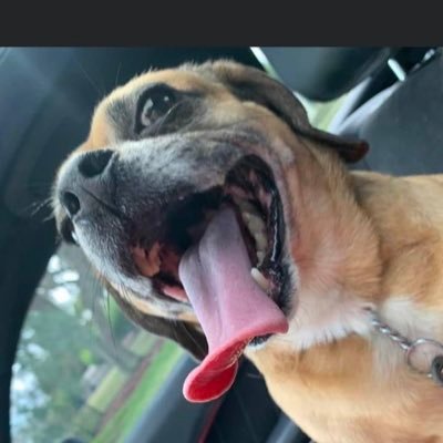 rfms1993's profile picture. 